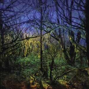 다시, 서른에게