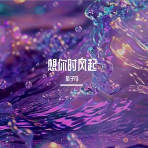 想你时风起（温柔男声版）