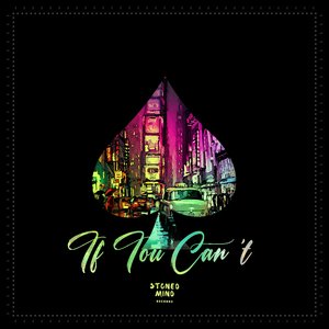 If You Can't (Original mix)