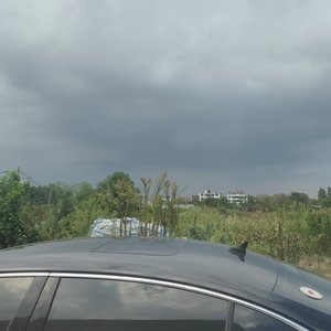 渡红尘