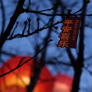 我走后，请一定要天天开心