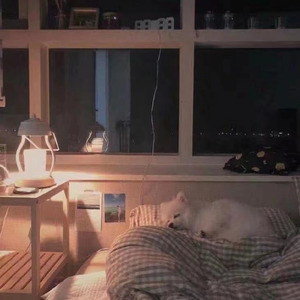 让我陪你过夏天