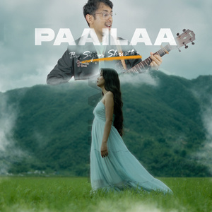 Paailaa