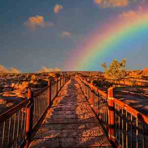 少年 (手风琴催眠)