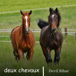 deux chevaux