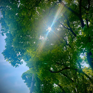 Photon Melodies [luke Bootleg]