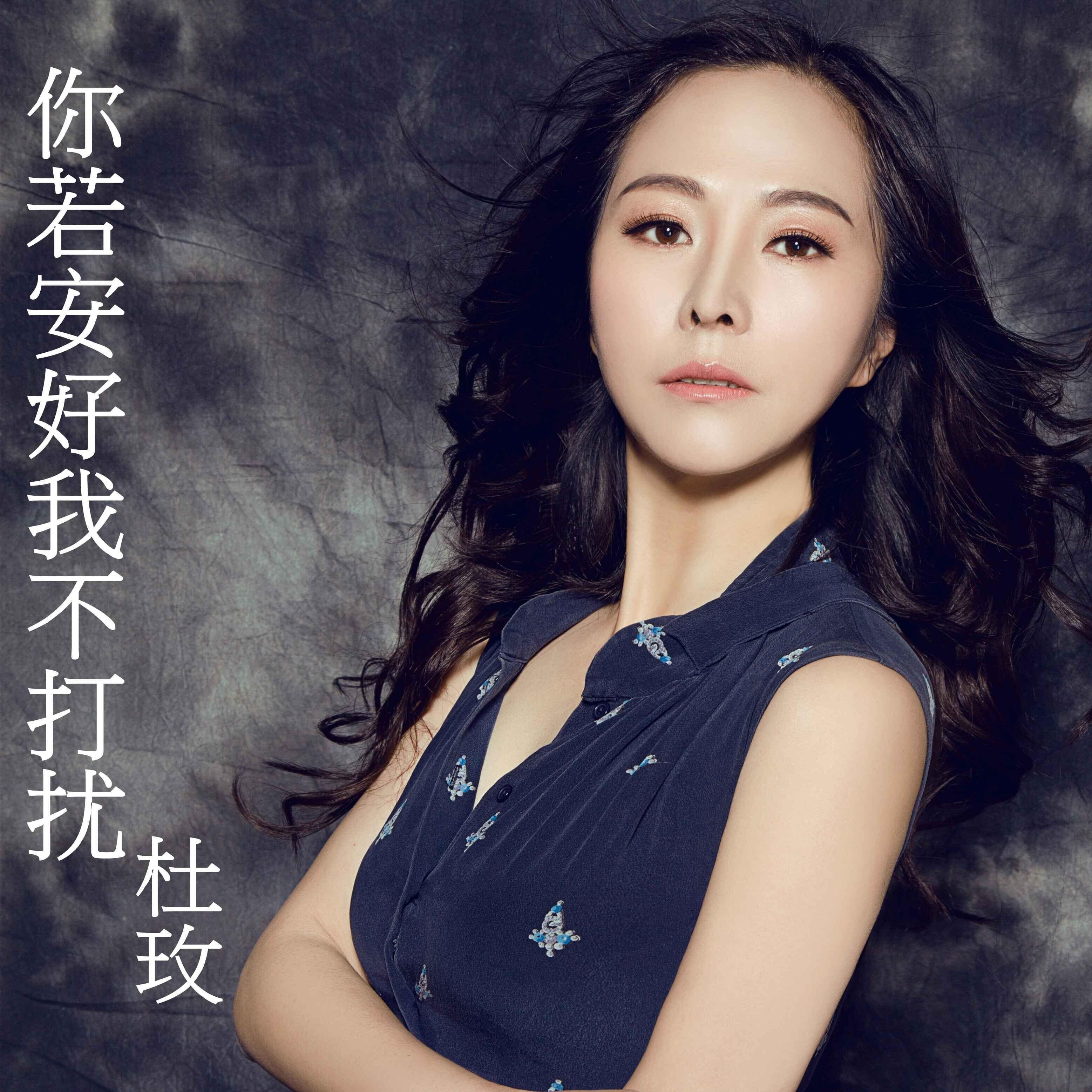 你若安好我不打扰 - 杜玫 - 网易云音乐