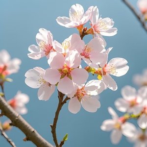 《圪梁梁上的守望》