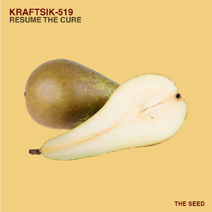 Resume The Cure (Original Mix)