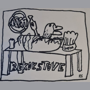 Bekokstove