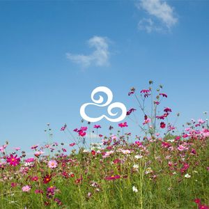 幻想的恋爱（治愈轻音乐）