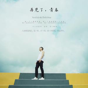 再见了青春
