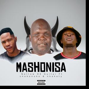 Mashonisa