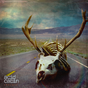 Carcass