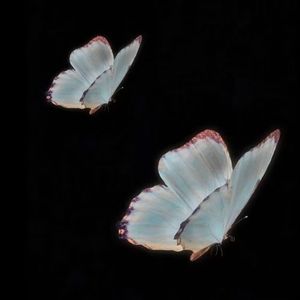 【free】“杞人憂天”X人声采样孟菲斯Type Beat 免费