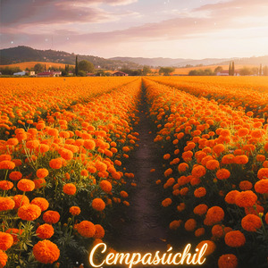CEMPASUCHIL