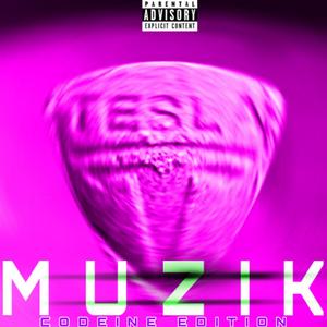 BIPOLAR MELODIES (SLOWED)