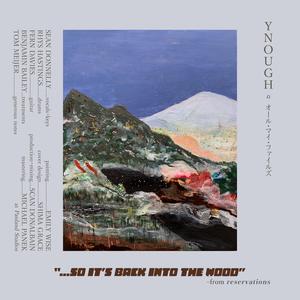 Reservations (N95 Once-Over)