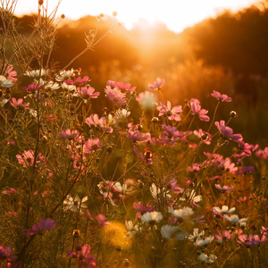 Everything Under My Feet