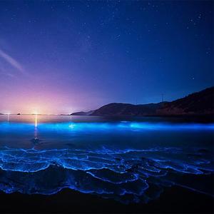 重度失眠者必听催眠曲