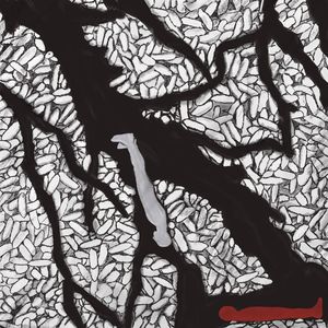 Плоская Земля