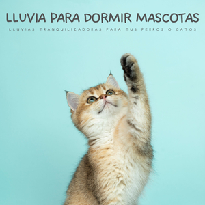 Una RelajaciÃ³n RÃ¡pida