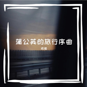 在荡秋千