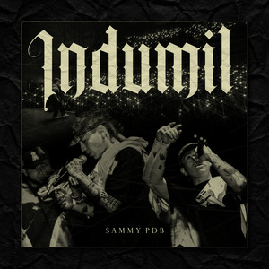 Indumil