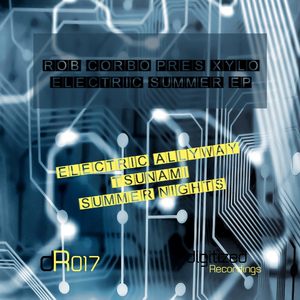 Summer Nights (Original Mix)