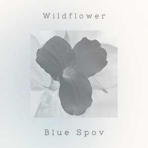 Wildflower