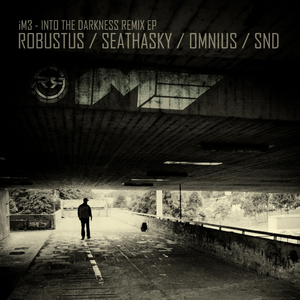 Into The Darkness (Robustus Remix)