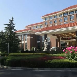 《梦里的白月光》