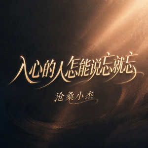 入心的人怎能说忘就忘