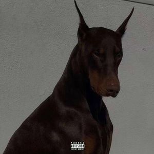 小镇传奇 small town king(Peod.OWM)