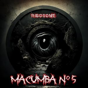 Macumba N°5