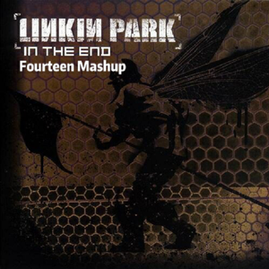 Linkin Park-In The End（Fourteen remix）