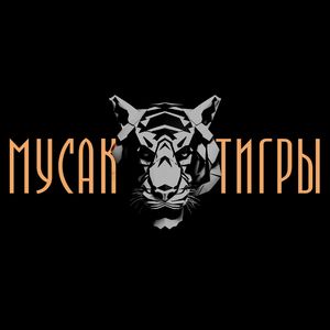 ТИГРЫ