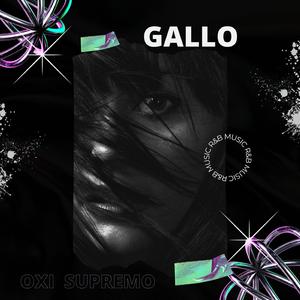 GALLO