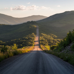 freedom of the journey