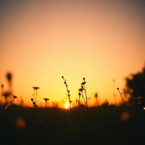 Country mix (Special Version)