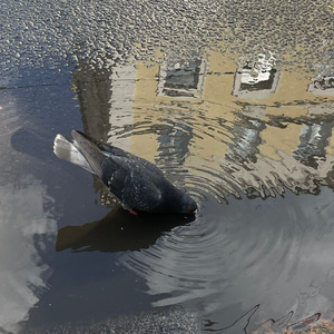 还好我曾经幻想过失去你