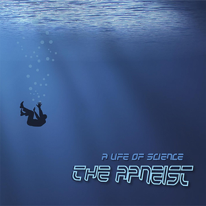 Evidence of Lunar Orbit