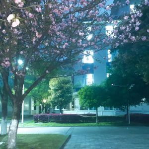 镜（PROD BY MEGA）