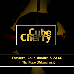 In The Place (Original Mix)