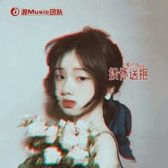 Su.12 投怀送抱 (DJ版)