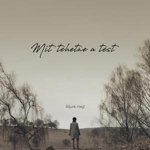 Mit tehetne a test
