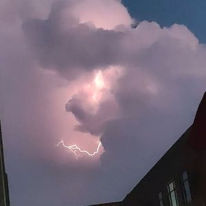 小猪要吃好果子-那一天的寂寞