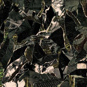 Stillness And Secrecy (Original Mix)