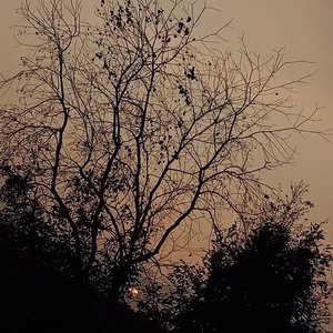 很长的梦（prod by DaveBeats）