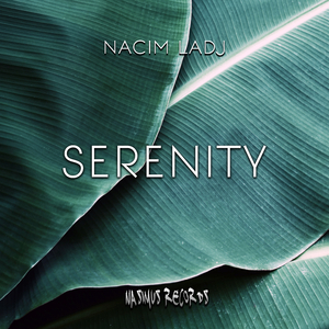 Serenity